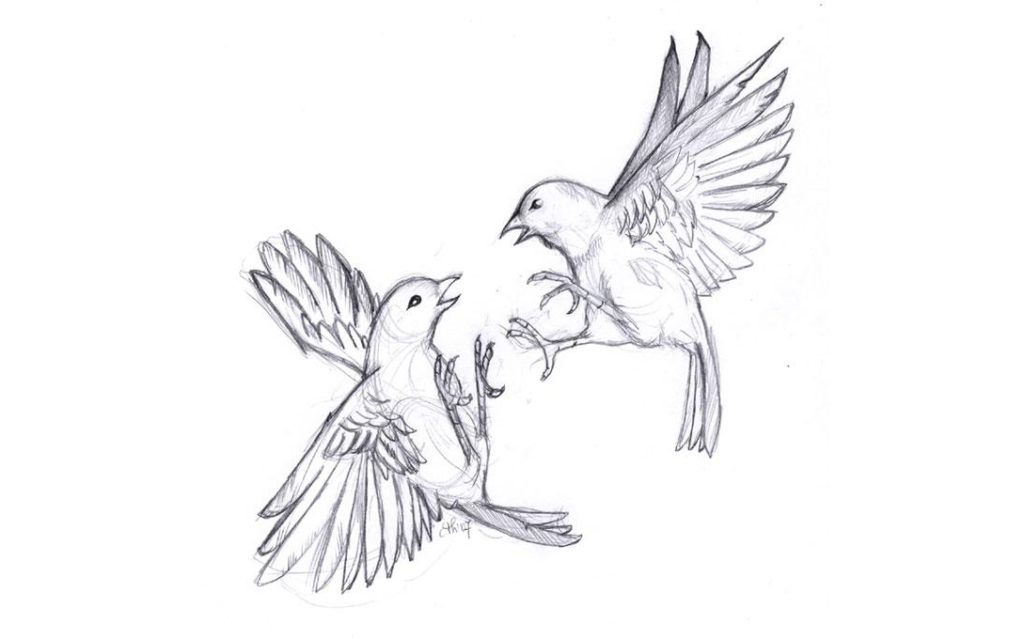 dessin d'oiseaux qui se battent